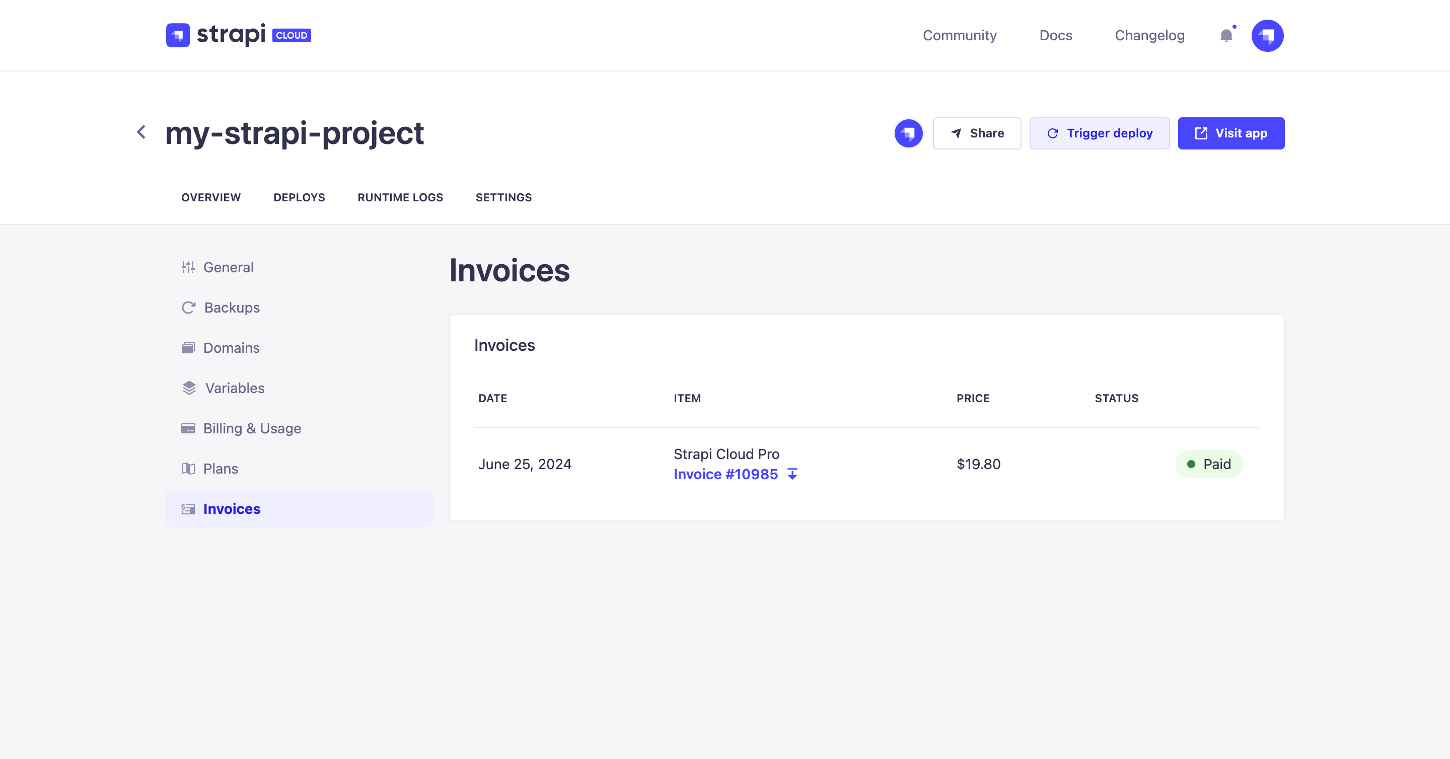 Project invoices